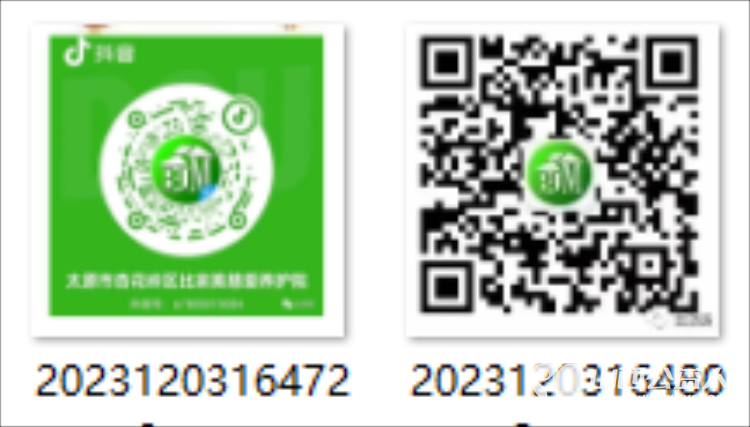 太原市比家美养老服务中心在黄陵街办煤机社区和社区居民一起制作干花团扇 - 第12张