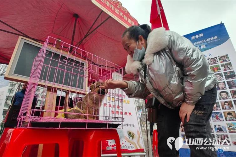 吕梁蓝天救援深入开展“学雷锋·文明实践我行动”主题活动，展现新时代应急志愿服务风采 - 第9张