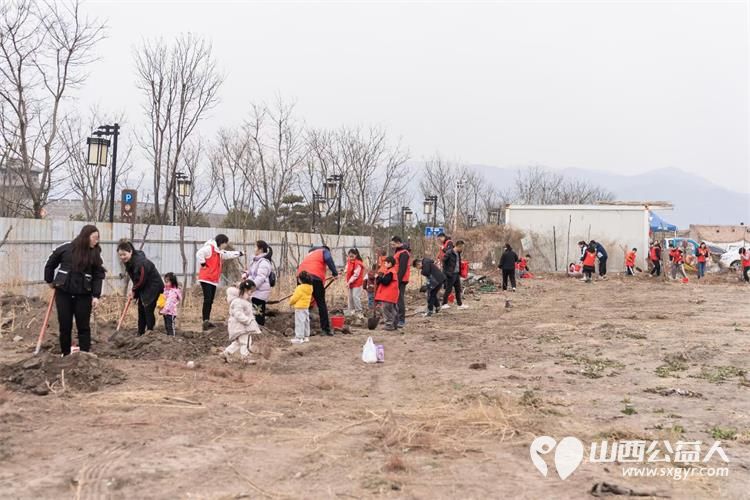 太原市小店区恒善志愿服务中心组织志愿者参加龙年植树活动 - 第2张