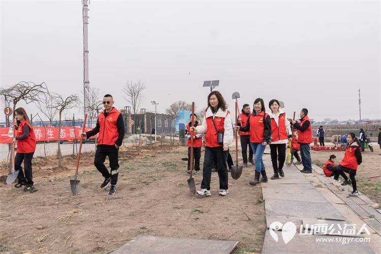 太原市小店区恒善志愿服务中心组织志愿者参加龙年植树活动 - 第3张