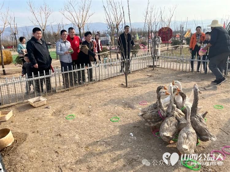 盐湖区第一时间志愿者协会带领困境儿童来到野趣大自然亲子农场一起感受春日的温暖时光 - 第2张