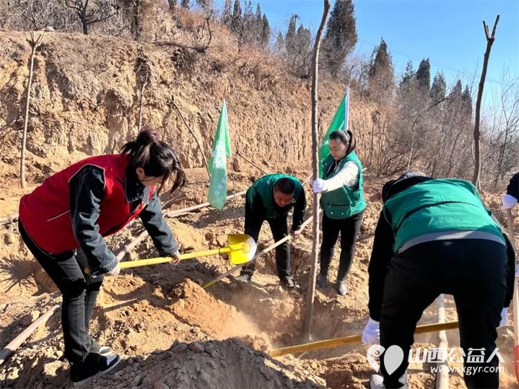 交城县顺风公益协会召集志愿者共同开展 同植青年林共筑青春梦 交城县2024年义务植树活动 - 第6张 - 山西公益人 交城县顺风公益协会召集志愿者共同开展 同植青年林共筑青春梦 交城县2024年义务植树活动 - 第6张