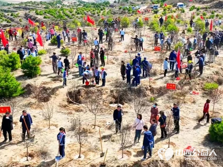 娄烦县青年志愿者协会志愿者前往马家庄乡潘家庄村阳坡梁参加全县全民义务植树活动 - 第2张