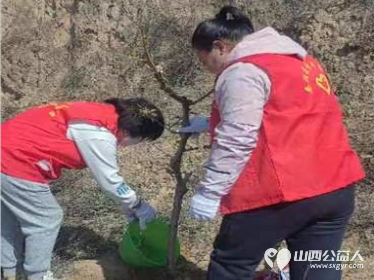 娄烦县青年志愿者协会志愿者前往马家庄乡潘家庄村阳坡梁参加全县全民义务植树活动 - 第5张