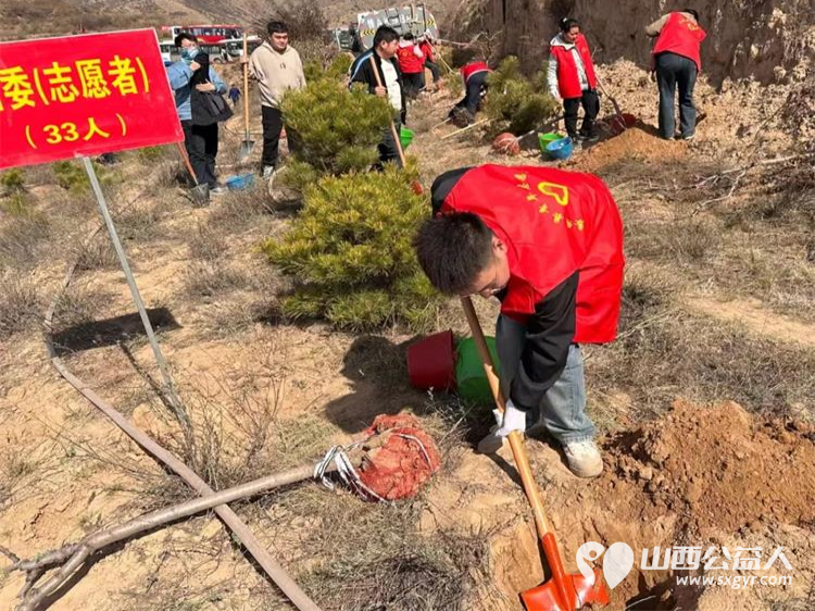 娄烦县青年志愿者协会志愿者前往马家庄乡潘家庄村阳坡梁参加全县全民义务植树活动 - 第4张