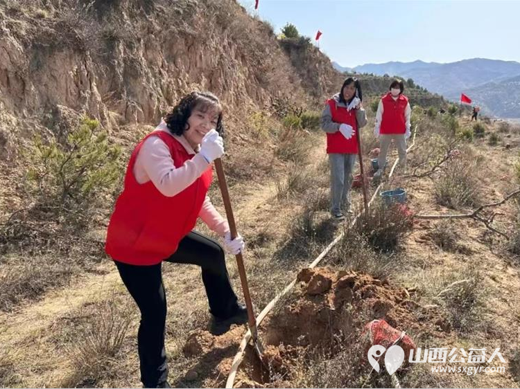 娄烦县青年志愿者协会志愿者前往马家庄乡潘家庄村阳坡梁参加全县全民义务植树活动 - 第7张