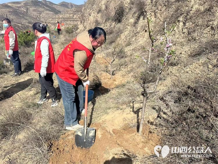 娄烦县青年志愿者协会志愿者前往马家庄乡潘家庄村阳坡梁参加全县全民义务植树活动 - 第3张