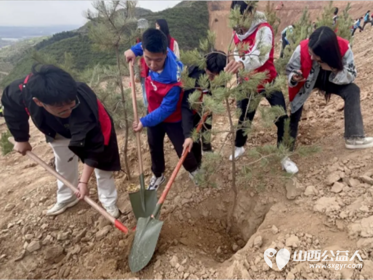 晋中新青年高校志愿者联合服务中心开展“同植青年林.共筑青年梦”植树造林志愿活动 - 第13张 - 山西公益人 晋中新青年高校志愿者联合服务中心开展“同植青年林.共筑青年梦”植树造林志愿活动 - 第13张