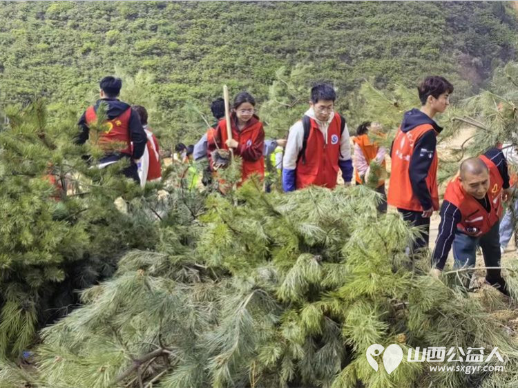 晋中新青年高校志愿者联合服务中心开展“同植青年林.共筑青年梦”植树造林志愿活动 - 第12张 - 山西公益人 晋中新青年高校志愿者联合服务中心开展“同植青年林.共筑青年梦”植树造林志愿活动 - 第12张