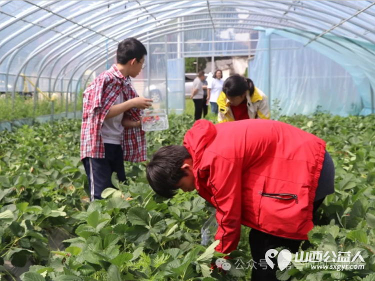 不负好时光与春共成长----盐湖区第一时间志愿者协会的志愿者带领困境儿童走进大自然 - 第4张