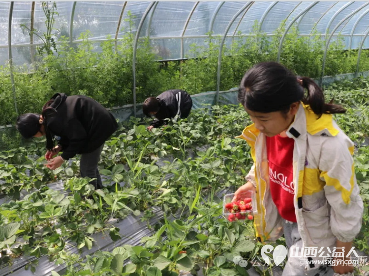 不负好时光与春共成长----盐湖区第一时间志愿者协会的志愿者带领困境儿童走进大自然 - 第5张