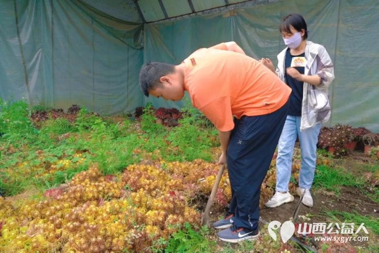 山西省残疾人福利基金会组织发起的“了不起的我们”共赴多肉植物采摘之旅，公益助残采摘活动启幕 - 第6张