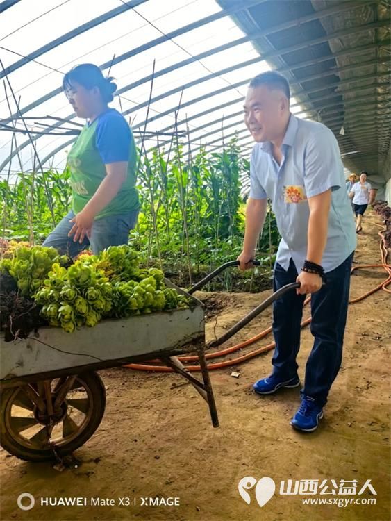 山西省残疾人福利基金会组织发起的“了不起的我们”共赴多肉植物采摘之旅，公益助残采摘活动启幕 - 第7张