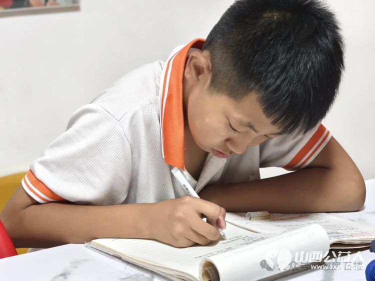 一袋酸杏的感恩 曹马增兄妹俩特地采摘了一袋自家种植的酸杏，送到石楼志愿者们的手中表示感谢 - 第2张