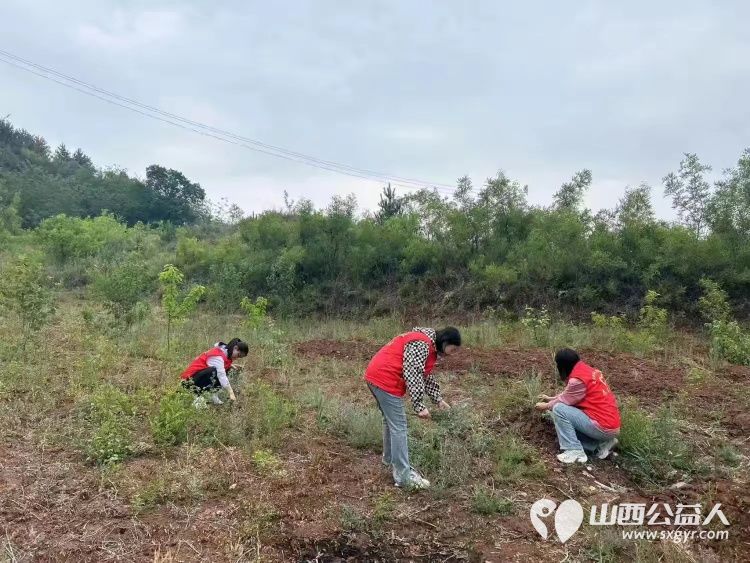 浓浓端午情 暖暖粽飘香----武乡县丰州镇太东社区开展我们的节日•端午节主题活动 - 第2张