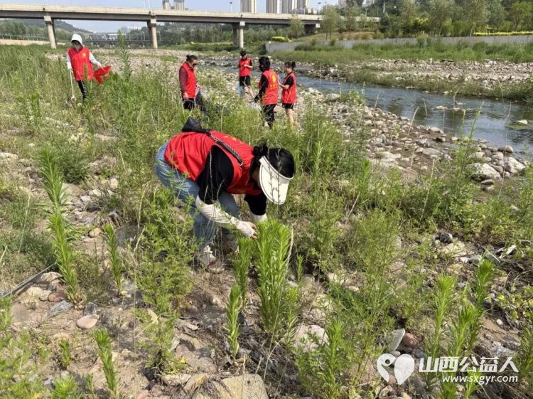 保护母亲河 阳泉义工在行动2024年第20期“保护母亲河”巡河净滩活动在白羊墅湿地公园开展 - 第7张 - 山西公益人 保护母亲河 阳泉义工在行动2024年第20期“保护母亲河”巡河净滩活动在白羊墅湿地公园开展 - 第7张