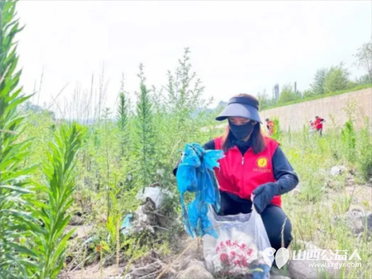 保护母亲河 阳泉义工在行动2024年第20期“保护母亲河”巡河净滩活动在白羊墅湿地公园开展 - 第23张 - 山西公益人 保护母亲河 阳泉义工在行动2024年第20期“保护母亲河”巡河净滩活动在白羊墅湿地公园开展 - 第23张