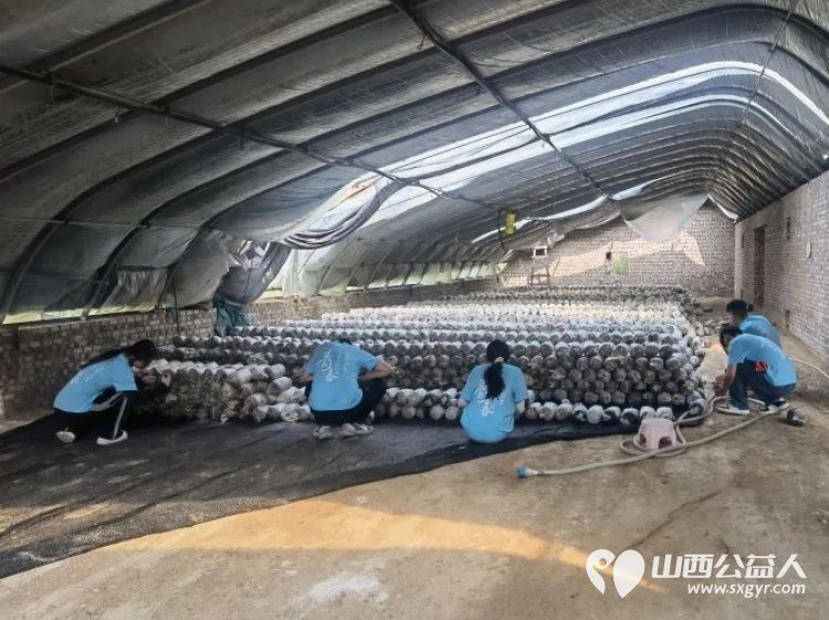 太原理工大学艺术学院“绿野石韵”农文旅融合实践队前往吕梁市石楼县与当地成功共建了大学生社会实践基地 - 第5张