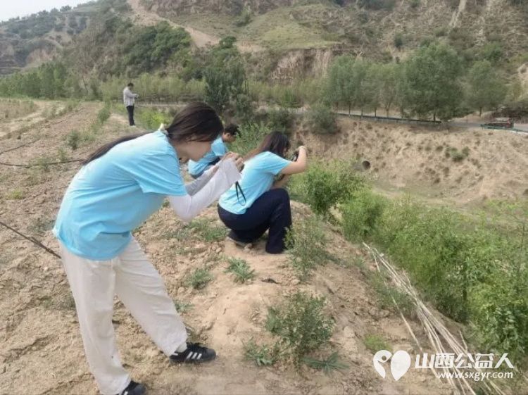 太原理工大学艺术学院“绿野石韵”农文旅融合实践队前往吕梁市石楼县与当地成功共建了大学生社会实践基地 - 第4张