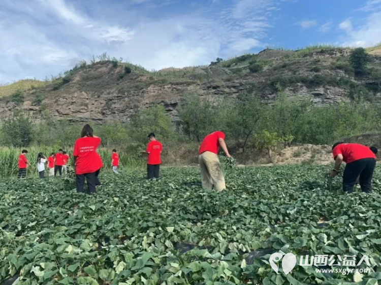 山西应用科技学院抵达吕梁市石楼县暑期“三下乡”社会实践活动“探寻古韵，情系石楼” - 第29张