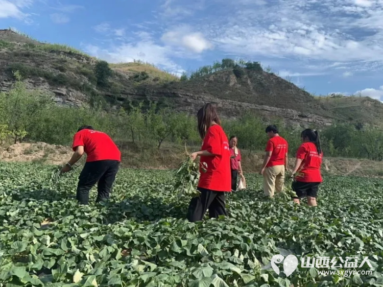 山西应用科技学院抵达吕梁市石楼县暑期“三下乡”社会实践活动“探寻古韵，情系石楼” - 第28张