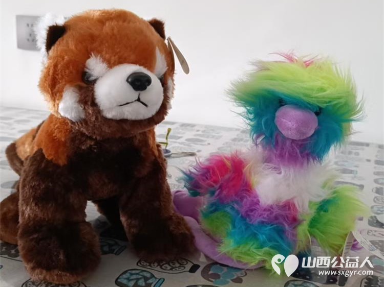 太原市雏鹰展翅社工中心志愿者捐赠给太原市灵星社区孤独症孩子132个毛绒玩具 - 第1张 - 山西公益人 太原市雏鹰展翅社工中心志愿者捐赠给太原市灵星社区孤独症孩子132个毛绒玩具 - 第1张