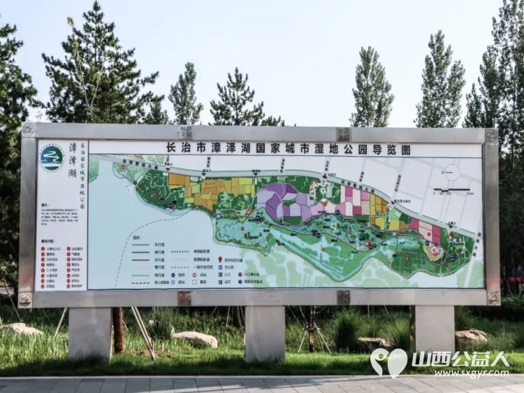 正能量公益山西应用科技学院团队组织共建大美长治共享绿色未来三下乡社会实践活动在漳泽湖国家湿地公园清理卫生 - 第12张