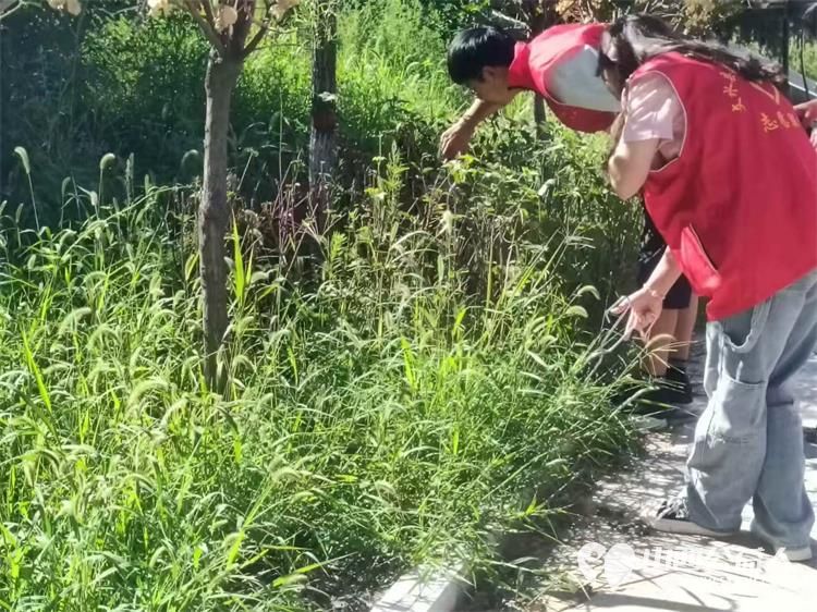 文水县爱心帮扶志愿者协会组织大学生志愿者开展新时代文明实践活动保护文峪河清理环境卫生 - 第19张