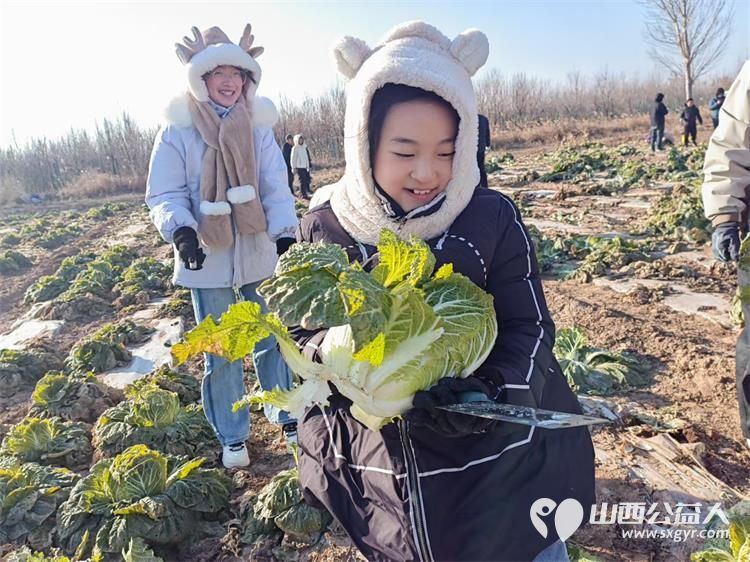 寒风中的温暖!----太原市龙城义工感谢志愿者家庭和环球的全体员工支持本次摘大白菜捐赠活动 - 第5张 - 山西公益人 寒风中的温暖!----太原市龙城义工感谢志愿者家庭和环球的全体员工支持本次摘大白菜捐赠活动 - 第5张