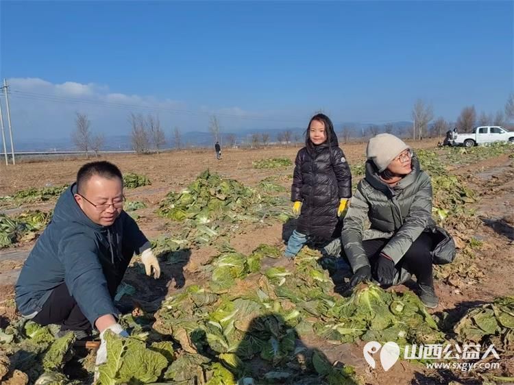 寒风中的温暖!----太原市龙城义工感谢志愿者家庭和环球的全体员工支持本次摘大白菜捐赠活动 - 第11张 - 山西公益人 寒风中的温暖!----太原市龙城义工感谢志愿者家庭和环球的全体员工支持本次摘大白菜捐赠活动 - 第11张