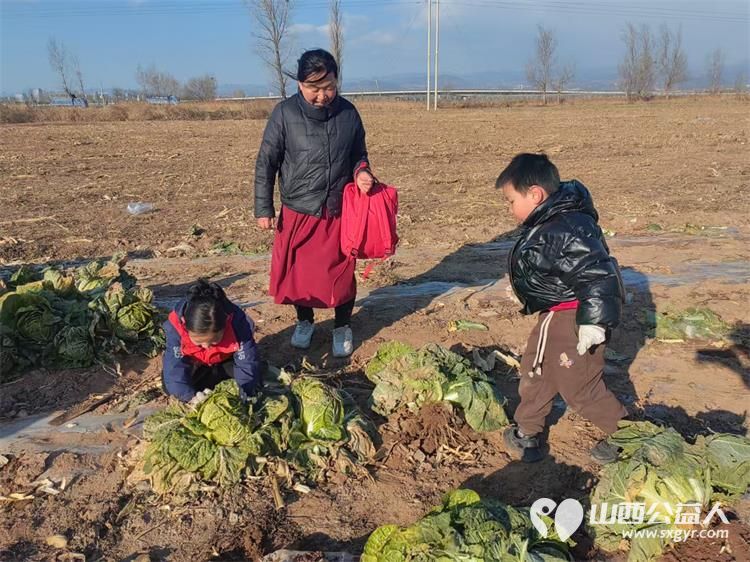 寒风中的温暖!----太原市龙城义工感谢志愿者家庭和环球的全体员工支持本次摘大白菜捐赠活动 - 第8张 - 山西公益人 寒风中的温暖!----太原市龙城义工感谢志愿者家庭和环球的全体员工支持本次摘大白菜捐赠活动 - 第8张