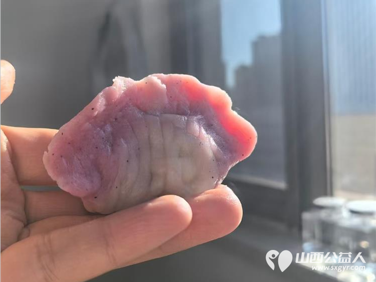 让饺子开出花儿​——记晋源区第八实验小学冬至包饺子活动​ - 第6张