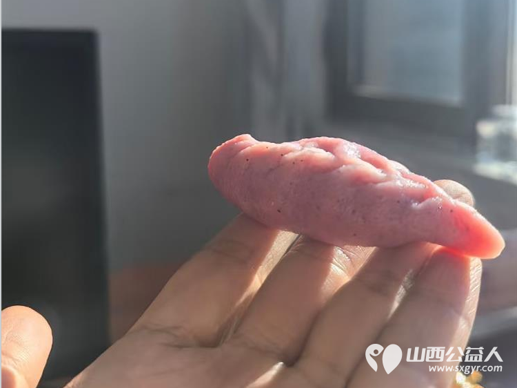 让饺子开出花儿​——记晋源区第八实验小学冬至包饺子活动​ - 第7张