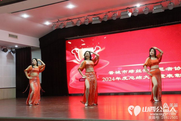 总结过去成绩斐然 展望未来共谋发展-----记晋城市绿丝带协会2024年年度总结暨表彰大会 - 第70张