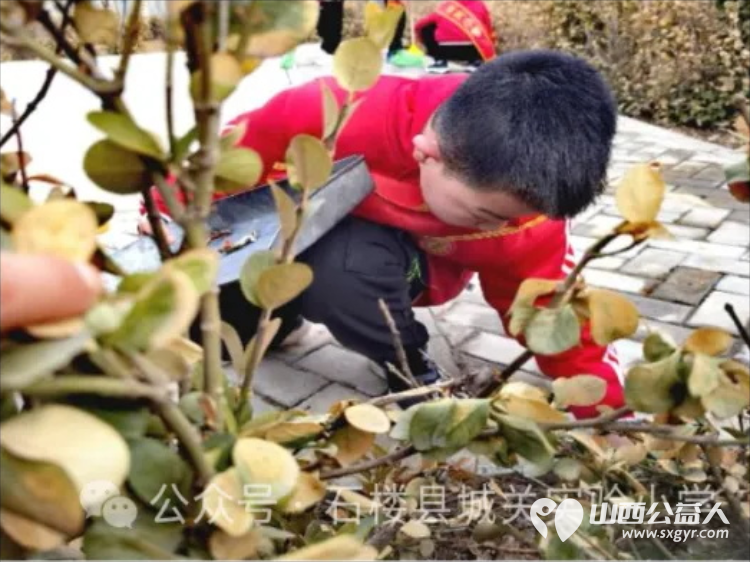 石楼县城关小学开展学雷锋主题班队会走进社区开展卫生清理志愿服务活动 - 第11张 - 山西公益人 石楼县城关小学开展学雷锋主题班队会走进社区开展卫生清理志愿服务活动 - 第11张