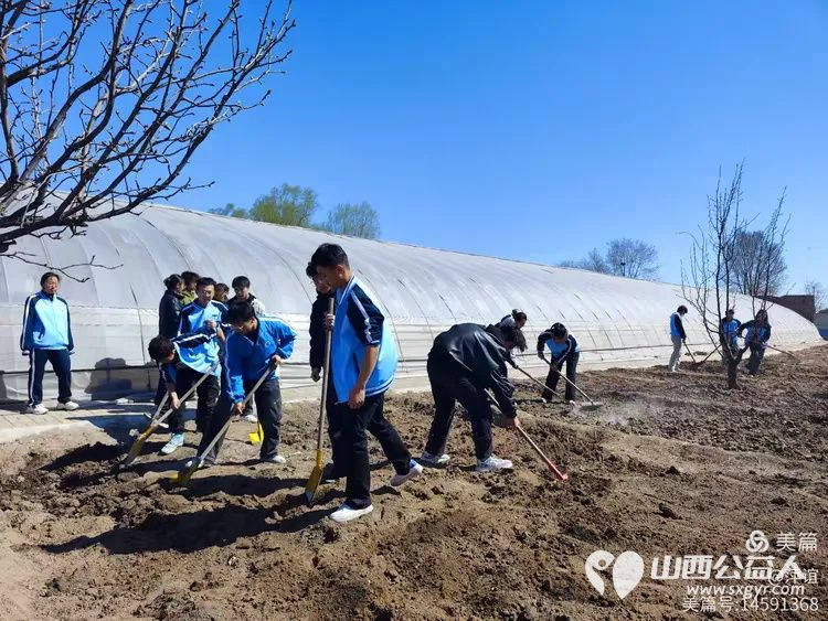 田间学种菜感悟雷锋精神 山西应用科技学院、山西财经学院学生走进太原市“活雷锋”赵海生种菜基地开展劳动实践活动 - 第7张 - 山西公益人 田间学种菜感悟雷锋精神 山西应用科技学院、山西财经学院学生走进太原市“活雷锋”赵海生种菜基地开展劳动实践活动 - 第7张