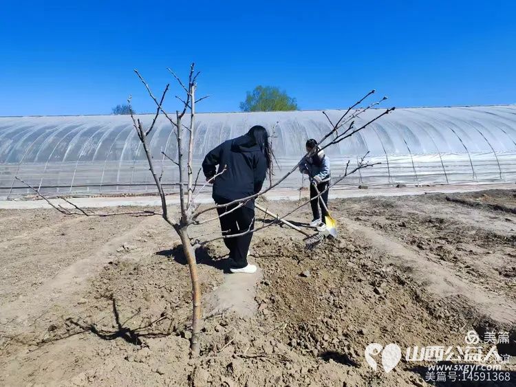 田间学种菜感悟雷锋精神 山西应用科技学院、山西财经学院学生走进太原市“活雷锋”赵海生种菜基地开展劳动实践活动 - 第6张 - 山西公益人 田间学种菜感悟雷锋精神 山西应用科技学院、山西财经学院学生走进太原市“活雷锋”赵海生种菜基地开展劳动实践活动 - 第6张
