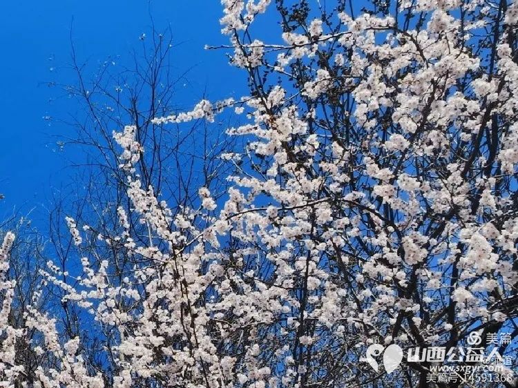 田间学种菜感悟雷锋精神 山西应用科技学院、山西财经学院学生走进太原市“活雷锋”赵海生种菜基地开展劳动实践活动 - 第11张 - 山西公益人 田间学种菜感悟雷锋精神 山西应用科技学院、山西财经学院学生走进太原市“活雷锋”赵海生种菜基地开展劳动实践活动 - 第11张