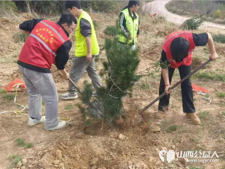 “同植青年林.共筑青年梦”晋中新青年高校志愿者联合服务中心开展义务植树造林活动 - 第4张 - 山西公益人 “同植青年林.共筑青年梦”晋中新青年高校志愿者联合服务中心开展义务植树造林活动 - 第4张