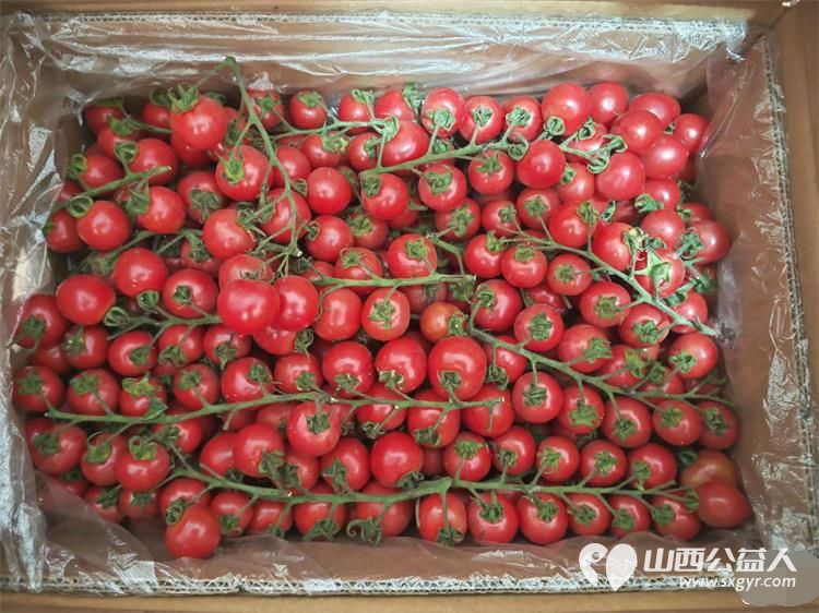 亲爱的妈妈节日快乐!长治市小雨点公益志愿者协会思源分会的志愿者来到隆福饭店免费素食餐厅分会看望整日辛苦劳作的义工阿姨叔叔们为他们送上节日的祝福 - 第11张 - 山西公益人 亲爱的妈妈节日快乐!长治市小雨点公益志愿者协会思源分会的志愿者来到隆福饭店免费素食餐厅分会看望整日辛苦劳作的义工阿姨叔叔们为他们送上节日的祝福 - 第11张