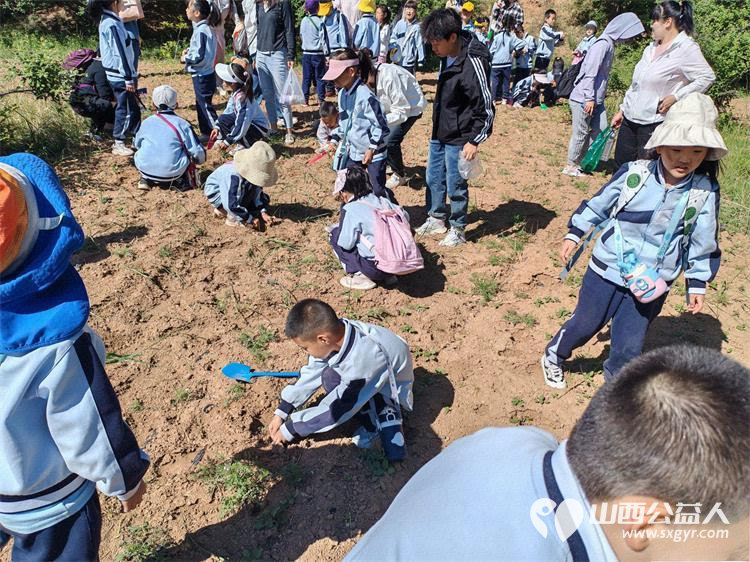 党建领航育新苗田间播种向未来 杏花岭区杏花红志愿服务中心、杏花岭区建设路小学组织学生走进杏花岭区西岭村开展了玉米种植劳动实践活动 - 第2张