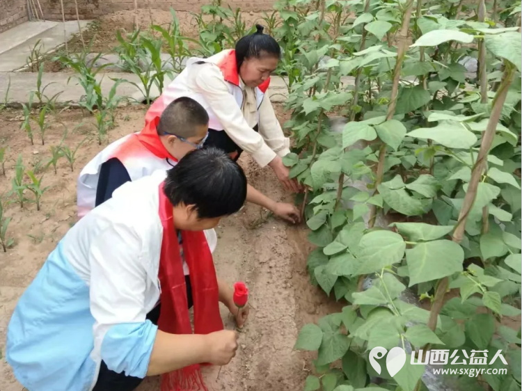 悠悠端午粽情浓六一献爱暖人心 长治市正能量公益协会海燕教育培训团队志愿者赴潞州区五马街道北董村对家庭困难户展开慰问 - 第6张 - 山西公益人 悠悠端午粽情浓六一献爱暖人心 长治市正能量公益协会海燕教育培训团队志愿者赴潞州区五马街道北董村对家庭困难户展开慰问 - 第6张