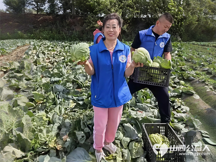 烈日采白菜西瓜爱心送雨花----记长治市小雨点公益志愿者协会思源分会为长治市雨花斋二部捐赠白菜西瓜行动 - 第13张 - 山西公益人 烈日采白菜西瓜爱心送雨花----记长治市小雨点公益志愿者协会思源分会为长治市雨花斋二部捐赠白菜西瓜行动 - 第13张