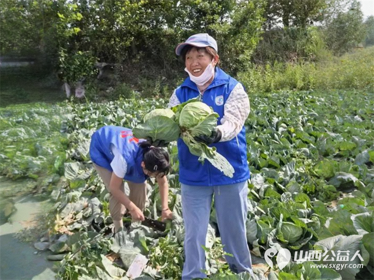 烈日采白菜西瓜爱心送雨花----记长治市小雨点公益志愿者协会思源分会为长治市雨花斋二部捐赠白菜西瓜行动 - 第11张 - 山西公益人 烈日采白菜西瓜爱心送雨花----记长治市小雨点公益志愿者协会思源分会为长治市雨花斋二部捐赠白菜西瓜行动 - 第11张