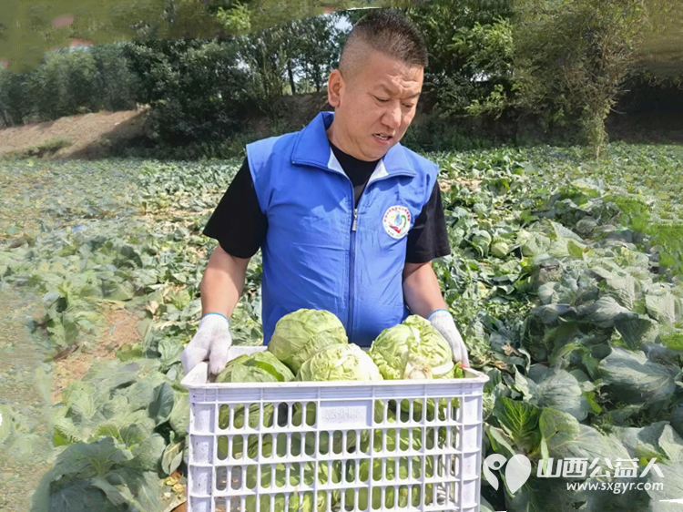 烈日采白菜西瓜爱心送雨花----记长治市小雨点公益志愿者协会思源分会为长治市雨花斋二部捐赠白菜西瓜行动 - 第4张 - 山西公益人 烈日采白菜西瓜爱心送雨花----记长治市小雨点公益志愿者协会思源分会为长治市雨花斋二部捐赠白菜西瓜行动 - 第4张