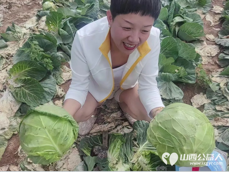 烈日采白菜西瓜爱心送雨花----记长治市小雨点公益志愿者协会思源分会为长治市雨花斋二部捐赠白菜西瓜行动 - 第2张 - 山西公益人 烈日采白菜西瓜爱心送雨花----记长治市小雨点公益志愿者协会思源分会为长治市雨花斋二部捐赠白菜西瓜行动 - 第2张
