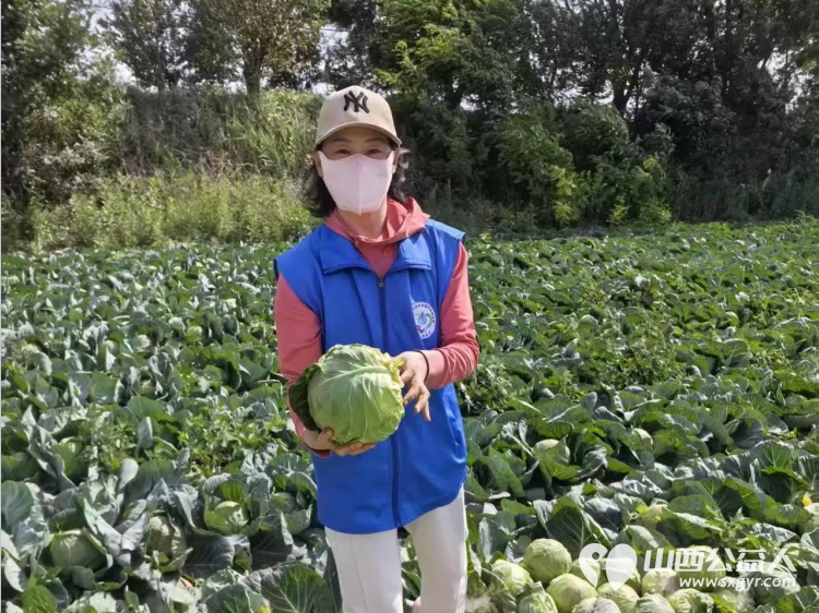 烈日采白菜西瓜爱心送雨花----记长治市小雨点公益志愿者协会思源分会为长治市雨花斋二部捐赠白菜西瓜行动 - 第6张 - 山西公益人 烈日采白菜西瓜爱心送雨花----记长治市小雨点公益志愿者协会思源分会为长治市雨花斋二部捐赠白菜西瓜行动 - 第6张