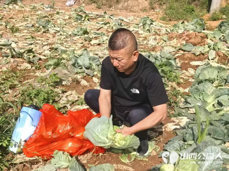 烈日采白菜西瓜爱心送雨花----记长治市小雨点公益志愿者协会思源分会为长治市雨花斋二部捐赠白菜西瓜行动 - 第9张 - 山西公益人 烈日采白菜西瓜爱心送雨花----记长治市小雨点公益志愿者协会思源分会为长治市雨花斋二部捐赠白菜西瓜行动 - 第9张