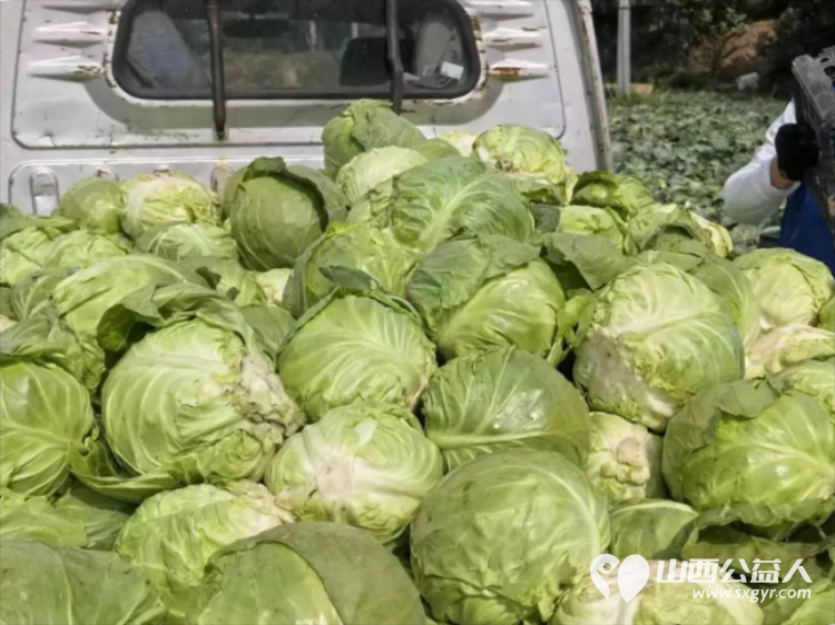 烈日采白菜西瓜爱心送雨花----记长治市小雨点公益志愿者协会思源分会为长治市雨花斋二部捐赠白菜西瓜行动 - 第21张 - 山西公益人 烈日采白菜西瓜爱心送雨花----记长治市小雨点公益志愿者协会思源分会为长治市雨花斋二部捐赠白菜西瓜行动 - 第21张