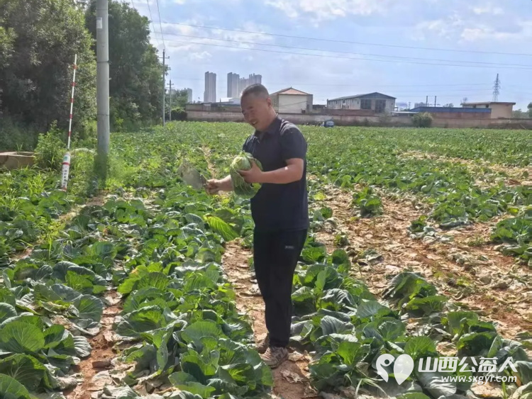 烈日采白菜西瓜爱心送雨花----记长治市小雨点公益志愿者协会思源分会为长治市雨花斋二部捐赠白菜西瓜行动 - 第5张 - 山西公益人 烈日采白菜西瓜爱心送雨花----记长治市小雨点公益志愿者协会思源分会为长治市雨花斋二部捐赠白菜西瓜行动 - 第5张